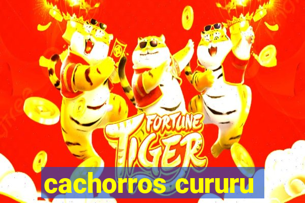 cachorros cururu